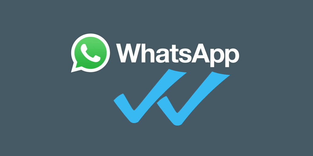 Whatsapp Okundu bilgisi nedir