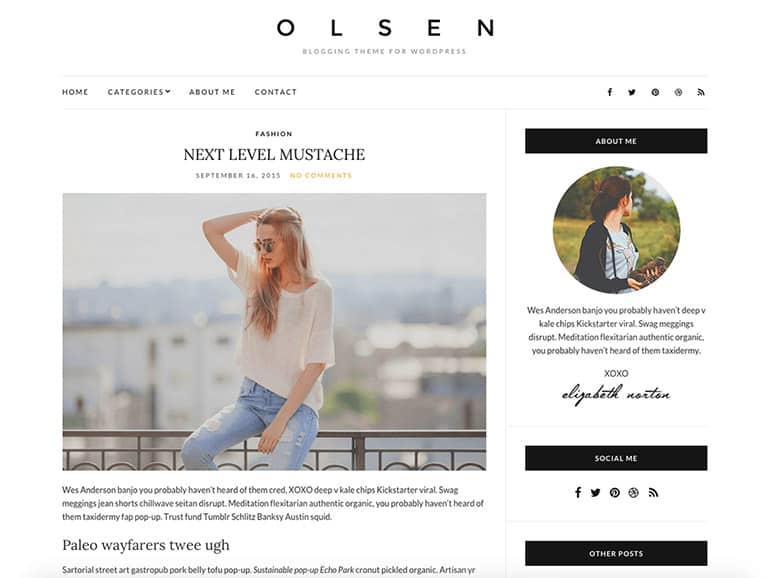 Olsen Işık Blog Teması